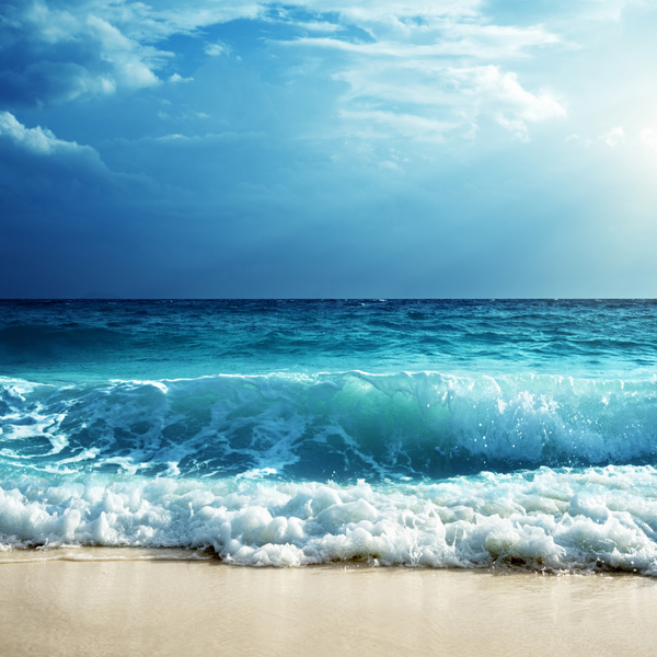 Top 3 Actions to Take During Summer High Tide